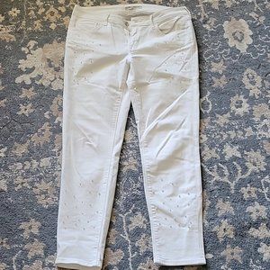 MAVI JEAN Women's Jeans 31